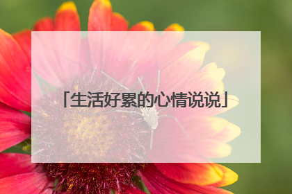 生活好累的心情说说