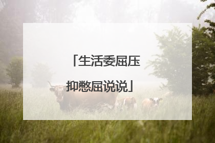 生活委屈压抑憋屈说说