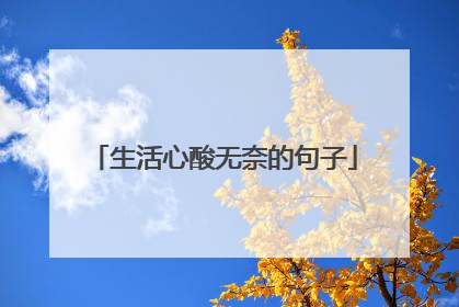 生活心酸无奈的句子