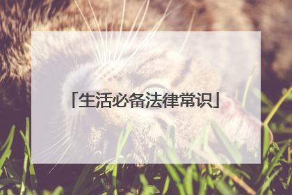 生活必备法律常识