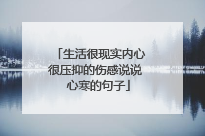 生活很现实内心很压抑的伤感说说 心寒的句子