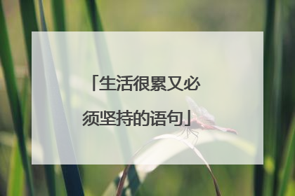 生活很累又必须坚持的语句