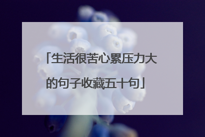 生活很苦心累压力大的句子收藏五十句