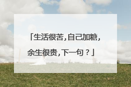 生活很苦,自己加糖,余生很贵,下一句?