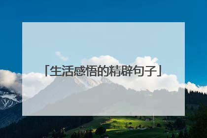 生活感悟的精辟句子