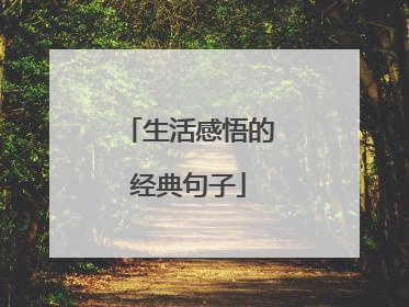 生活感悟的经典句子
