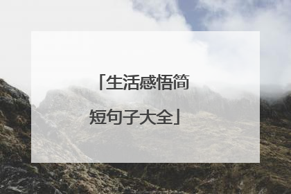 生活感悟简短句子大全