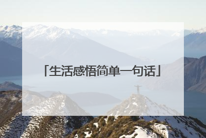 生活感悟简单一句话