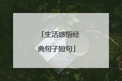 生活感悟经典句子短句