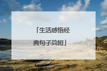 生活感悟经典句子简短