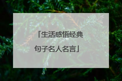 生活感悟经典句子名人名言
