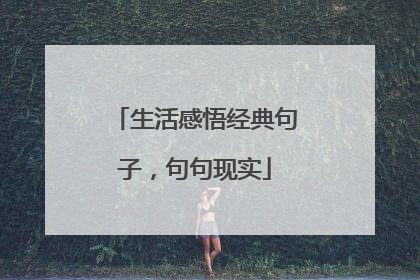 生活感悟经典句子,句句现实