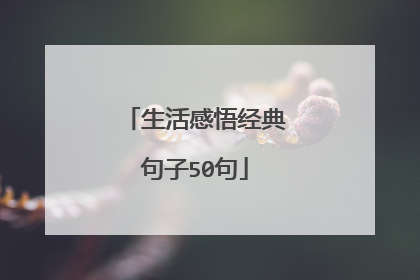 生活感悟经典句子50句