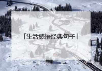 生活感悟经典句子