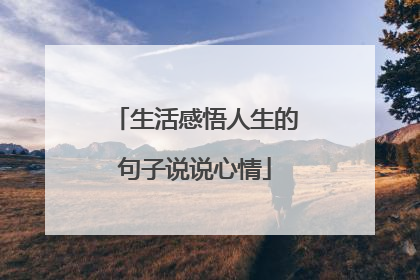 生活感悟人生的句子说说心情