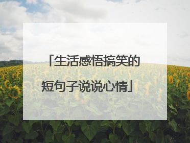 生活感悟搞笑的短句子说说心情