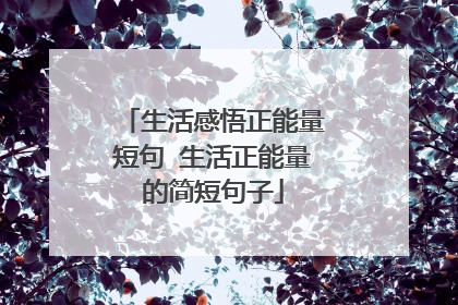 生活感悟正能量短句 生活正能量的简短句子