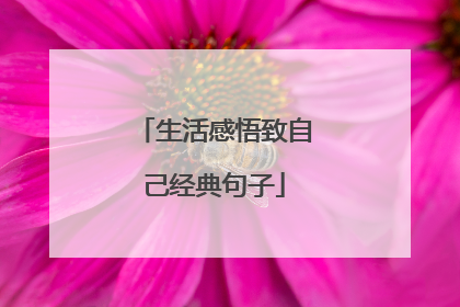 生活感悟致自己经典句子