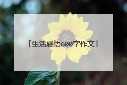 生活感悟600字作文