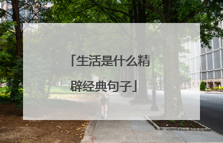 生活是什么精辟经典句子