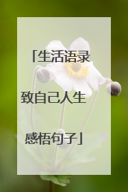 生活语录致自己人生感悟句子