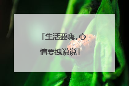 生活要嗨,心情要拽说说