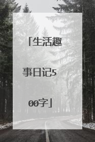 生活趣事日记500字