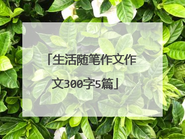 生活随笔作文作文300字5篇