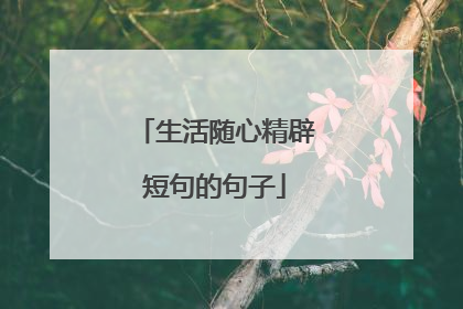 生活随心精辟短句的句子