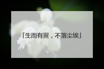 生而有翼，不落尘埃