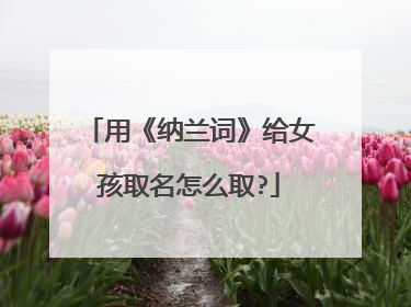 用《纳兰词》给女孩取名怎么取?