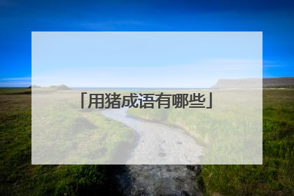 用猪成语有哪些