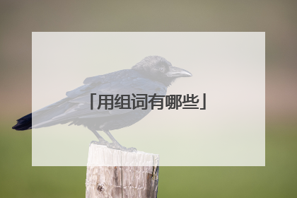 用组词有哪些