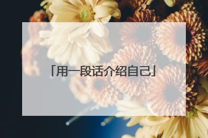 用一段话介绍自己