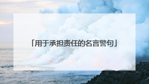 用于承担责任的名言警句