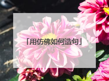 用仿佛如何造句