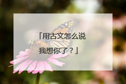用古文怎么说我想你了?
