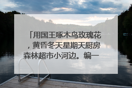 用国王啄木鸟玫瑰花,黄昏冬天星期天厨房森林超市小河边。编一篇童话故事。
