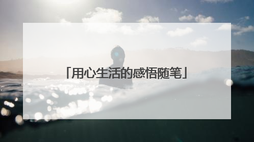 用心生活的感悟随笔