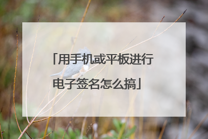 用手机或平板进行电子签名怎么搞