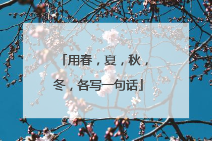 用春,夏,秋,冬,各写一句话