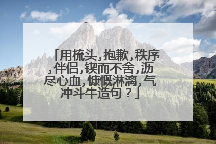 用梳头,抱歉,秩序,伴侣,锲而不舍,沥尽心血,慷慨淋漓,气冲斗牛造句?