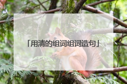 用清的组词组词造句