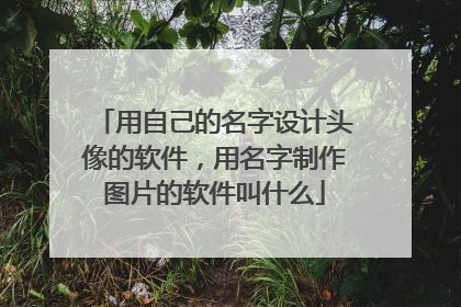 用自己的名字设计头像的软件,用名字制作图片的软件叫什么