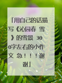 用自己的话描写《沁园春 雪》的雪景 300字左右的小作文 急！！！谢谢