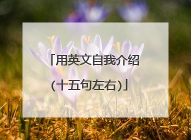 用英文自我介绍(十五句左右)