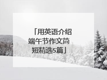 用英语介绍端午节作文简短精选5篇