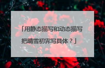 用静态描写和动态描写把晴雪初霁写具体？