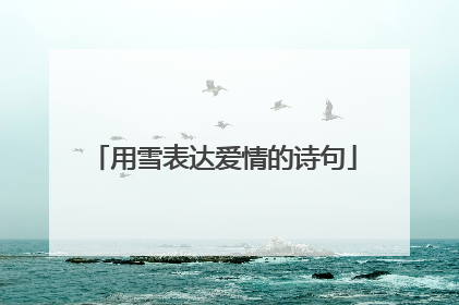 用雪表达爱情的诗句