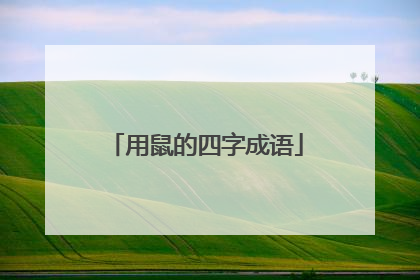 用鼠的四字成语